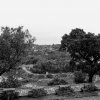 Concurso - Origens de Santa Comba Dão
